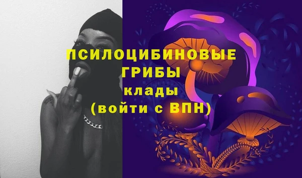 mdpv Заволжск