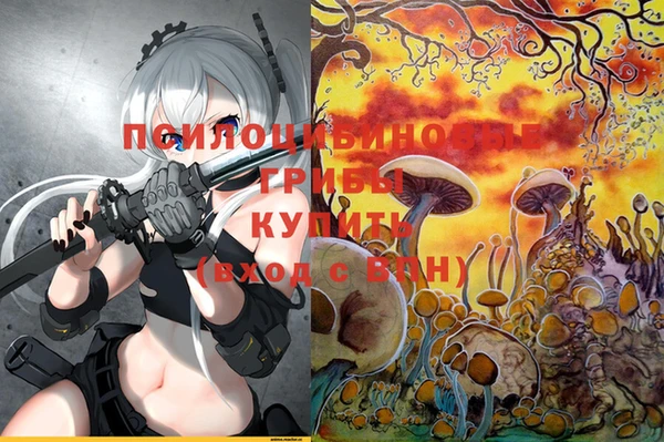 дурь Заводоуковск