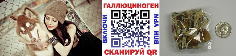 Галлюциногенные грибы GOLDEN TEACHER  мега ссылки  Избербаш 