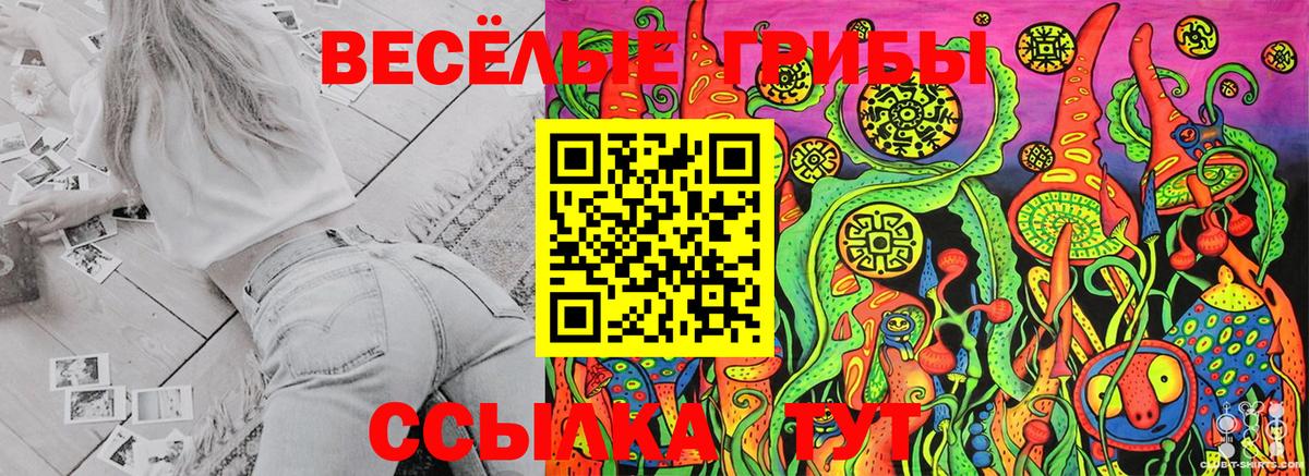 Псилоцибиновые грибы Psilocybe  Галлюциногенные грибы Psilocybine cubensis  Избербаш  Вход с VPN 