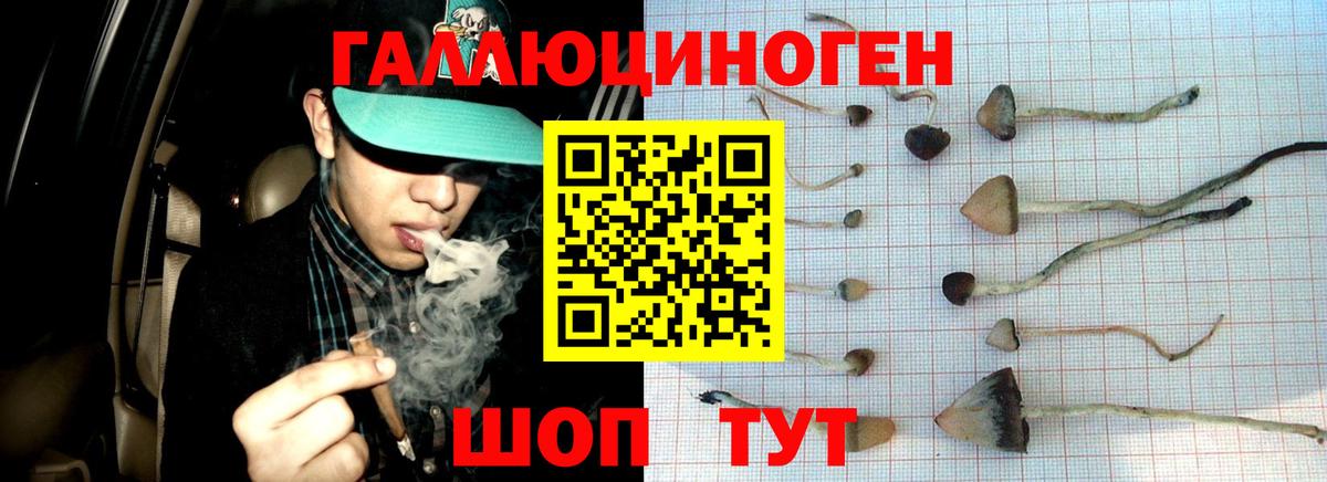 Псилоцибиновые грибы MAGIC MUSHROOMS Избербаш