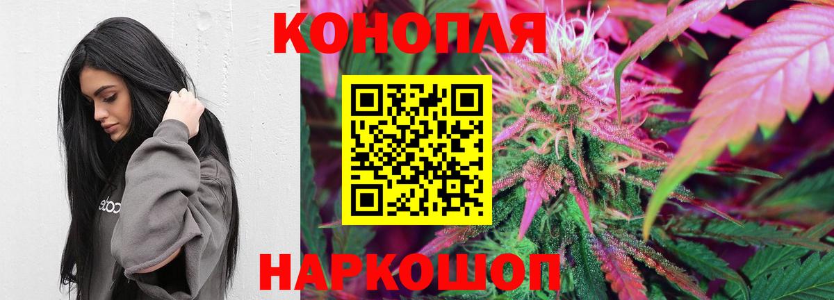 Бошки Шишки семена  Вход с VPN  Избербаш  Марихуана VHQ 